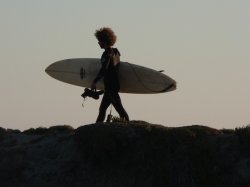 画像1: 2月 3日 (火) ビギナー サーフィンスクール