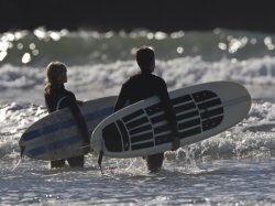 画像1: 12月 17日 (木) ビギナー サーフィンスクール